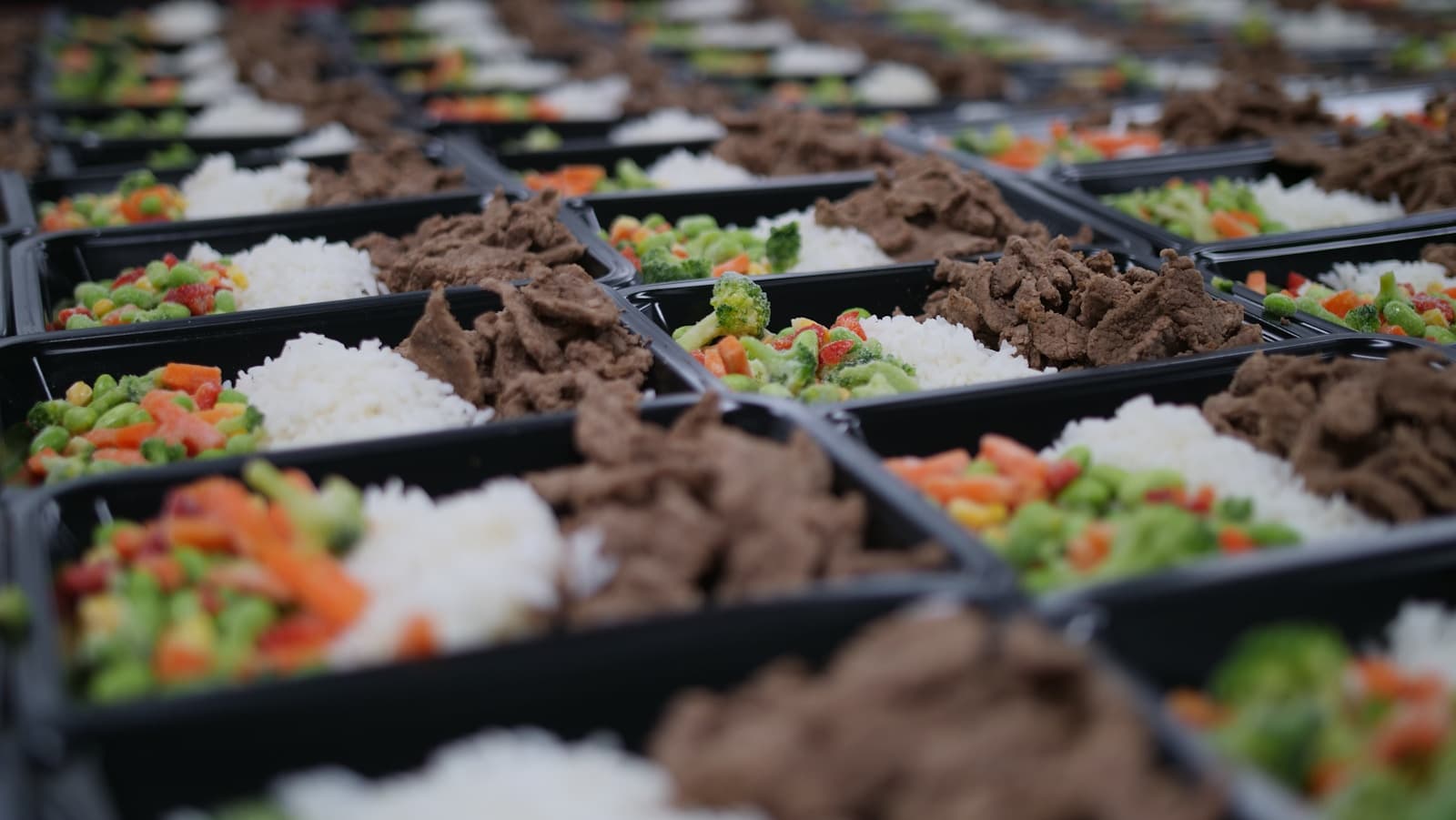 Prepared fitness meals arranged for macro tracking